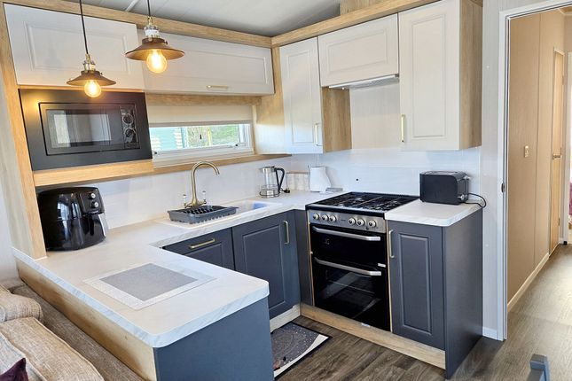 AV 12, Springhouse Holiday Park, Hexham photo 4