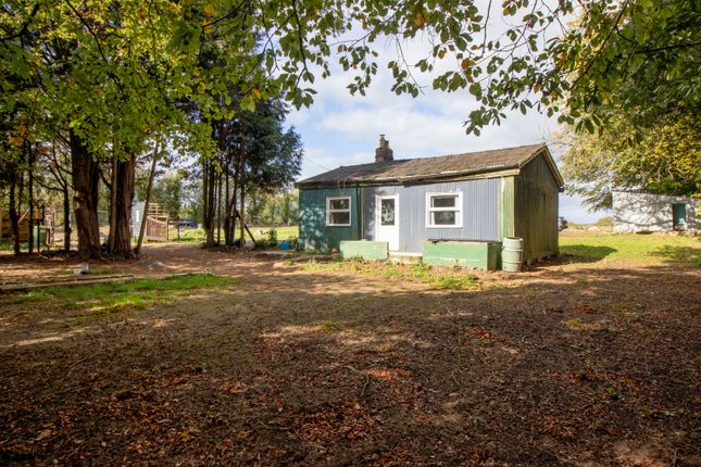 Petersfield Road, Alresford photo 3