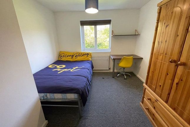 3 Colbourne Avenue, Brighton photo 3