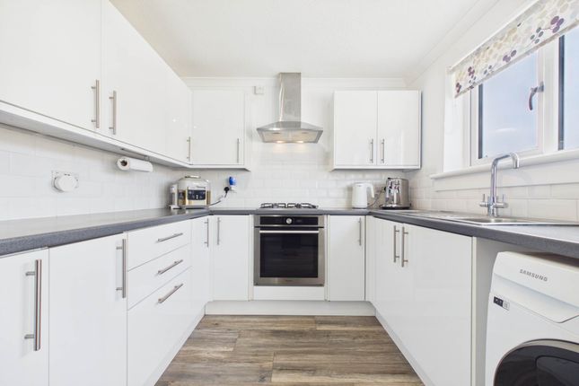 13, Murray Terrace, Motherwell photo 3