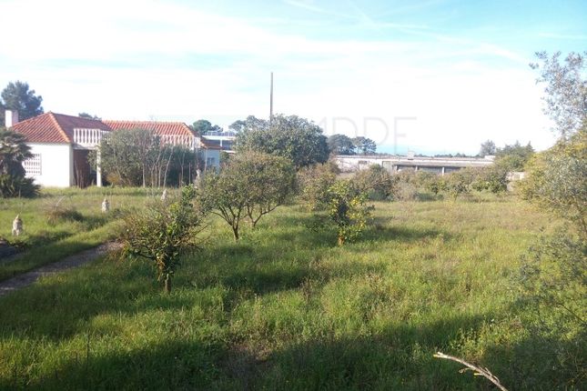 Land for sale in Azeitão (São Lourenço E São Simão), Setúbal, Setúbal