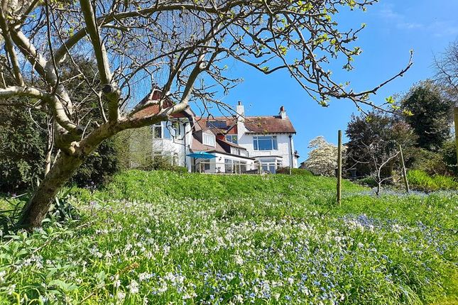 Thumbnail Detached house for sale in Bodmin Road, St. Austell