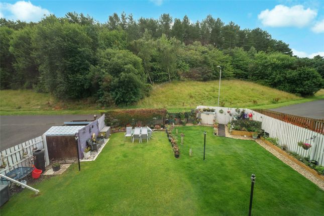 1/2, 31b, Lyoncross Road, Lanarkshire photo 4