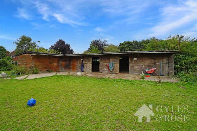Equestrian property for sale in Langham Road, Boxted, Colchester