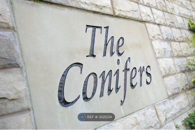 The Conifers, Nicholas Street, Briercliffe, Burnley photo 2