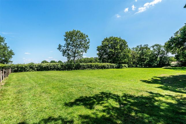 Forge Farm,, Parkgate Road, Dorking photo 4