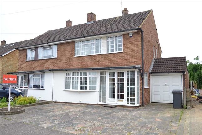 Thumbnail Semi-detached house for sale in Benedict Drive, Chelmsford