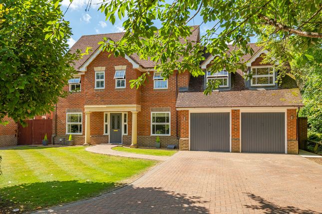 Thumbnail Detached house for sale in Grove Close, Epsom