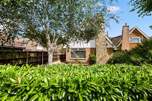 110, Wheatsheaf Lane, Surrey photo 3