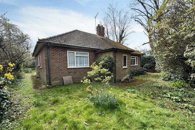 Spindles, Summerhouse Road, Busbridge photo 4