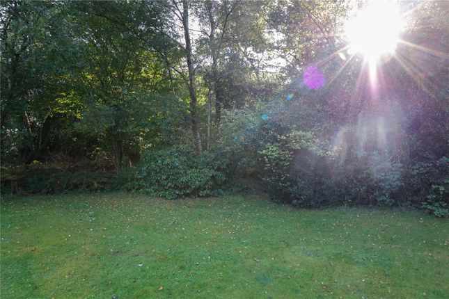 Land for sale in Conford, Liphook, Hampshire