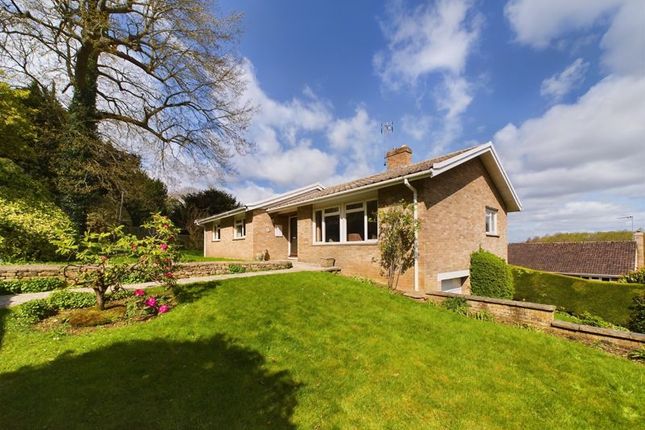 Thumbnail Bungalow for sale in Selwyn Close, Ryeford, Stonehouse