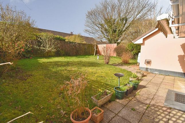 11, Cleave Close, Exeter photo 2