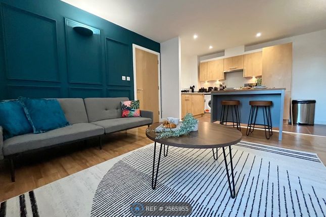 Living / Dining Area