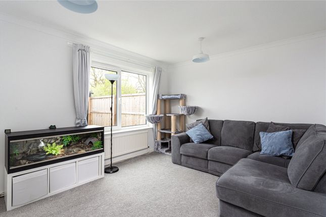 12, Humber Drive, York photo 3