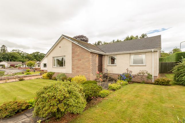 Thumbnail Detached bungalow for sale in 10 Glensheiling Drive, Rattray, Blairgowire