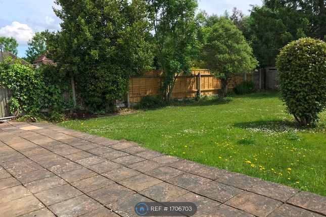Thumbnail Bungalow to rent in Eastfield Lane, Ringwood