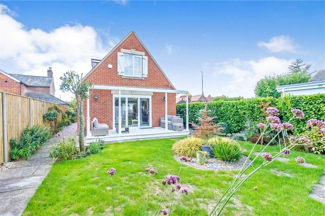 Thumbnail Property for sale in Main Road, Nutbourne, Chichester