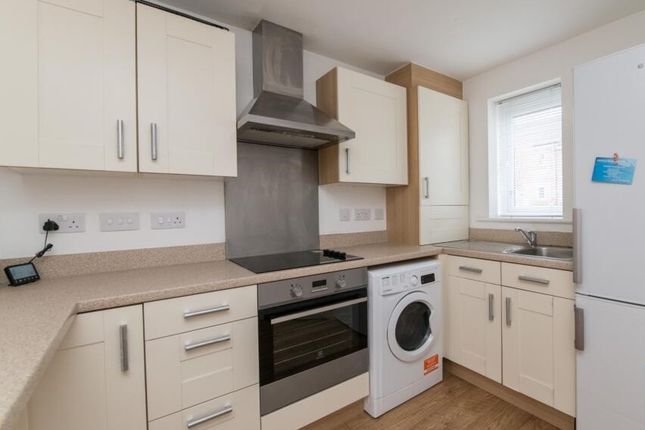 14 Luccombe Oak, Cranbrook photo 4