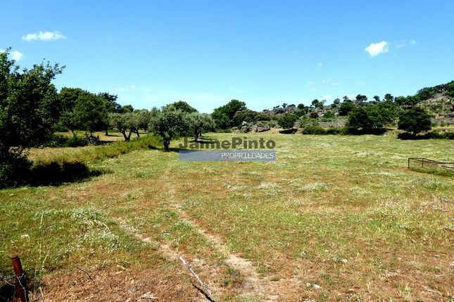 Thumbnail Land for sale in 26Ha Agricultural, Olive Grove, Ruins Near Douro River, Escalhão, Figueira De Castelo Rodrigo, Guarda, Central Portugal