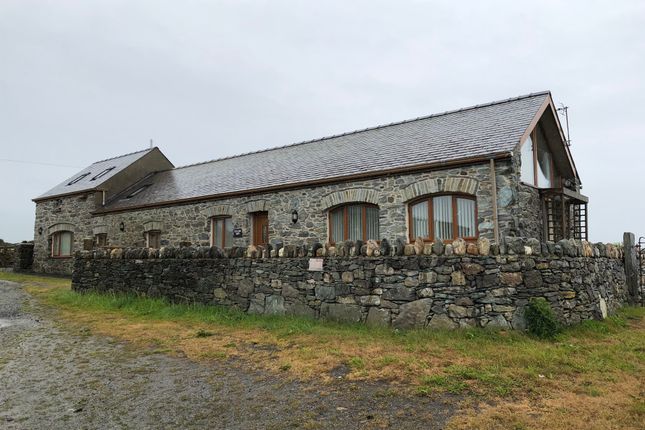 From The Front