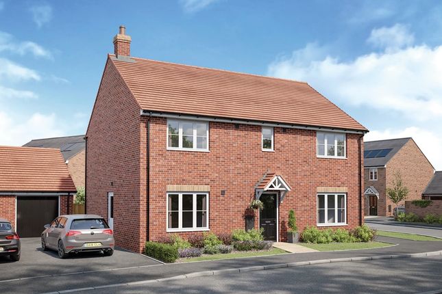Artists Impression Of The Standford