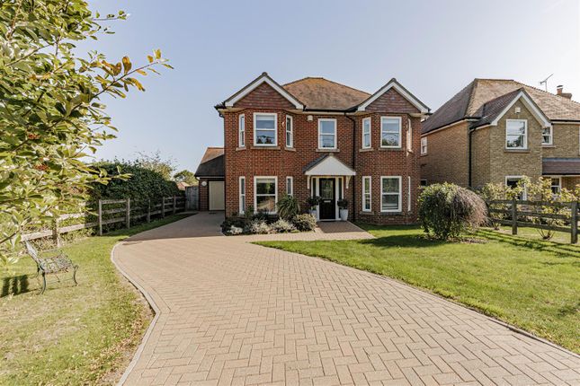 L J Imaging-31 - Copy.Jpg