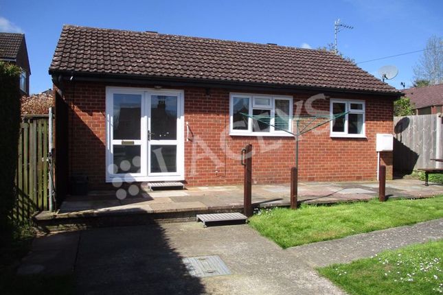 Thumbnail Detached bungalow to rent in St. Michaels Avenue, Yeovil