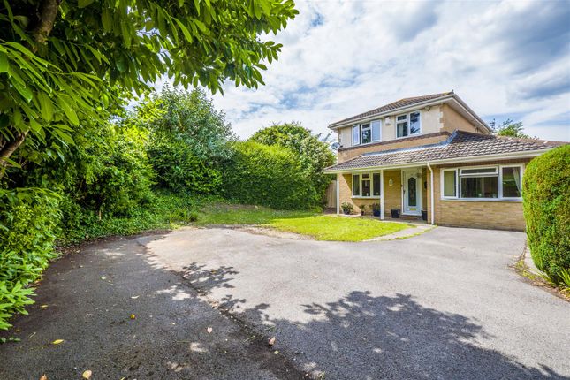 Thumbnail Detached house for sale in Powderham Drive, Cardiff