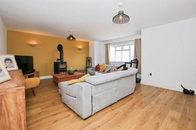 5, Primrose Hill, March photo 4