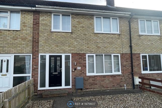 Thumbnail Terraced house to rent in St. Martins Road, Hull