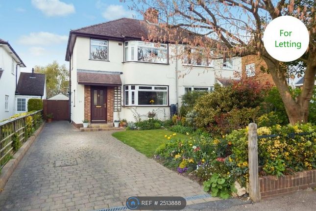 Thumbnail Semi-detached house to rent in Sish Lane, Stevenage