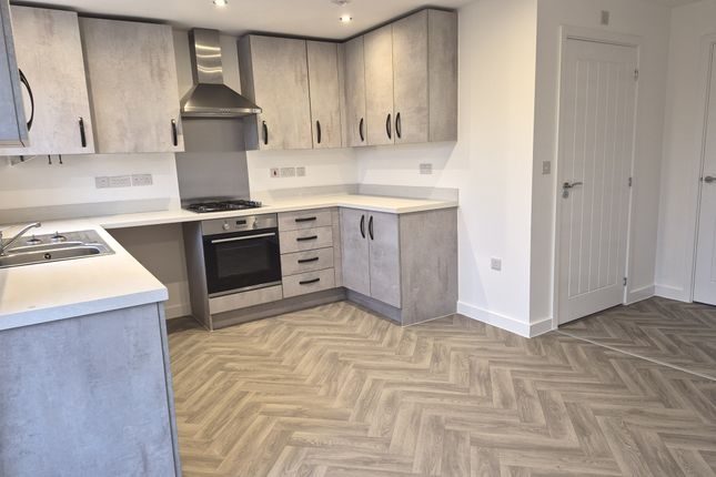 Plot 133, 18, Lewsley Drive, Alfreton photo 2