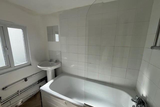 Image - 7.Jpg