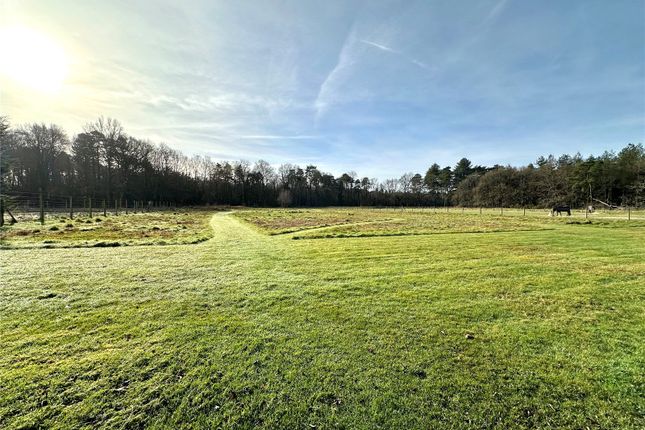 Land for sale in Harbridge Court, Somerley, Ringwood, Hampshire