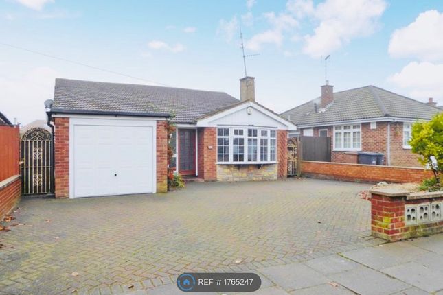 Detached Bungalow With Parking Facility
