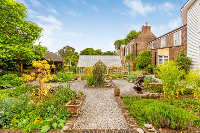 Kitchen Garden