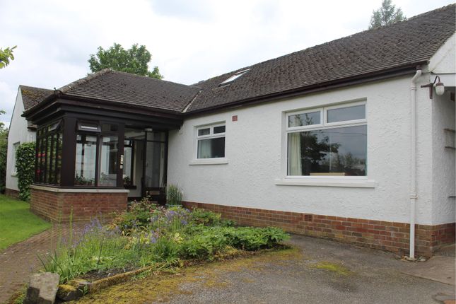Thumbnail Detached bungalow for sale in West Isle, Islesteps, Dumfries