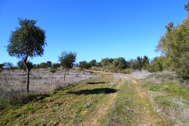Country house for sale in Guadiana, Beja, Alentejo, Portugal, Portugal