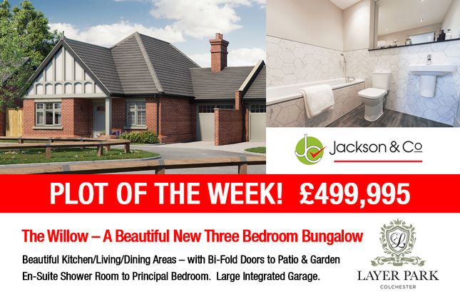 Thumbnail Detached bungalow for sale in Layer Park, Colchester CO2 9Ge