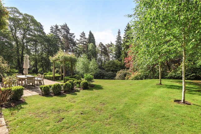 Detached house for sale in Swinley Road, Ascot