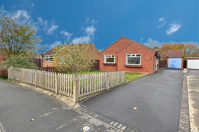 Photo-2025-10-31-13-03-35 4.Jpg