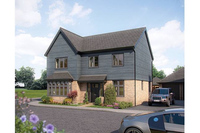 Thumbnail Detached house for sale in "Maple" at Yardley Road, Olney
