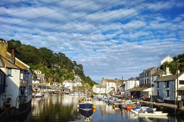 Polperro Holiday Park, Looe photo 2