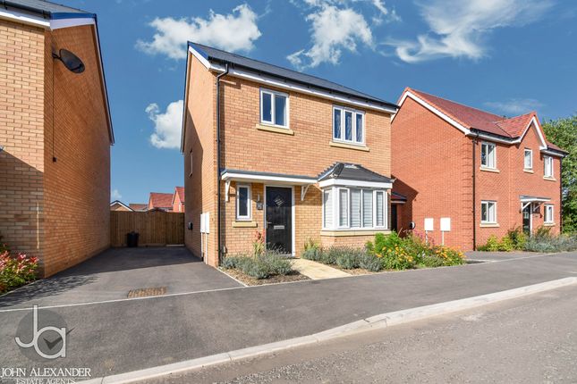 Thumbnail Detached house for sale in Hen Way, Fordham Heath, Colchester
