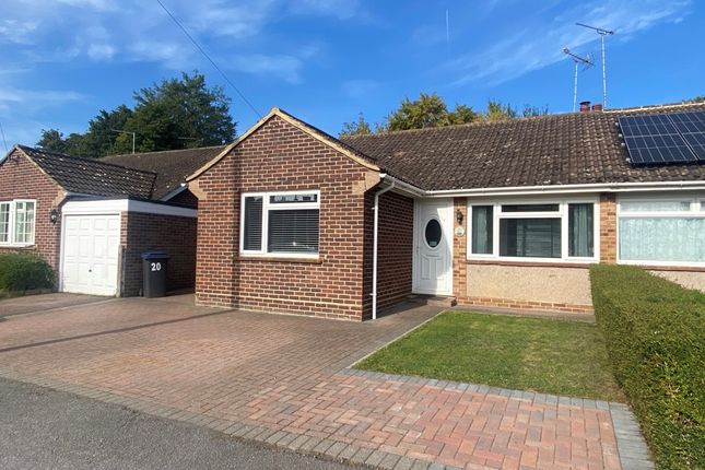 Thumbnail Semi-detached bungalow to rent in Elmleigh Road, Littlebourne, Canterbury