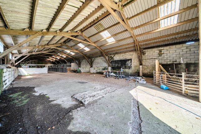 Beacon Farm, Penzance photo 4