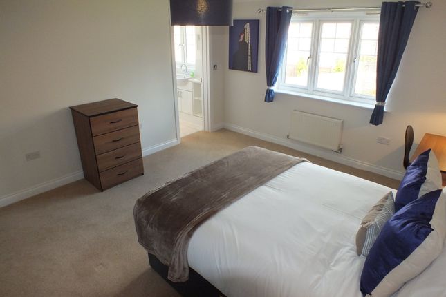 Room 6, 6, Pascal Crescent, Reading photo 3