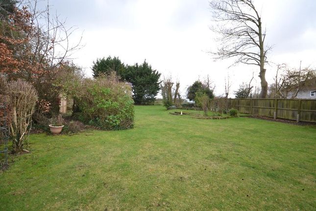 Detached bungalow for sale in The Street, Bishop's Stortford