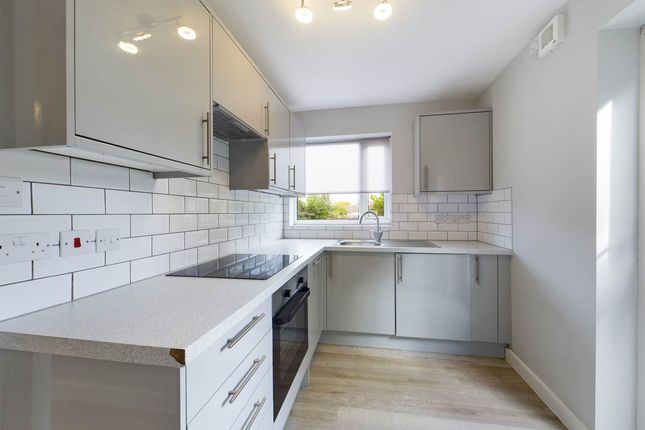 Kitchen (2)